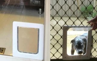 Small Pet Door Insert for a Sliding Door 17