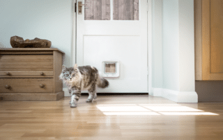 Expert Tips for Hassle-Free Cat Door Installation in Glass Doors 13 cat door installation