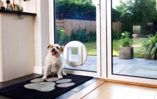 Common Mistakes to Avoid When Choosing a Pet Door for Sliding Doors 14 pet door