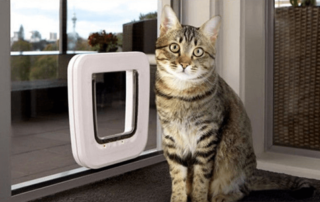 The Importance of Having a Pet Door 13 Magnetic Cat Door 3