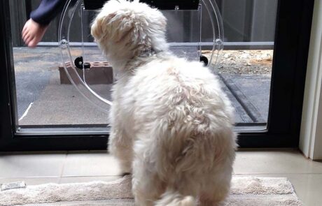 Transcat doggie door min