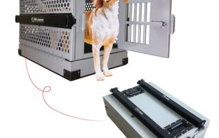 7 Essential Rules Every Owner Should Know 13 Collapsible Dog Crate