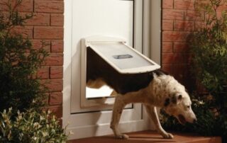 The Joy of Freedom: How a Pet Door Can Improve Your Pet's Quality of Life 17