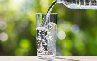 Here are 5 Reasons Why We Love Pet Water Fountains! 14 whywelovepetwaterfountains image01 min