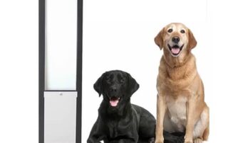 Your Ultimate Guide to Choosing a Dog Door for Sliding Doors 21 Dog Door for Sliding Doors