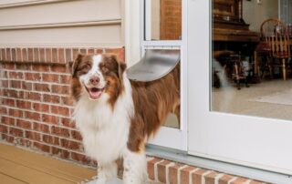 The Perks of Having a Sliding Door Pet Door: Convenience, Security and Style 13 sliding door pet door