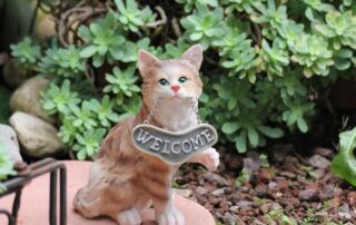 Pet Doors and the Environment: How Installing a Pet Door Can Reduce Your Carbon Footprint 18 cat and environment