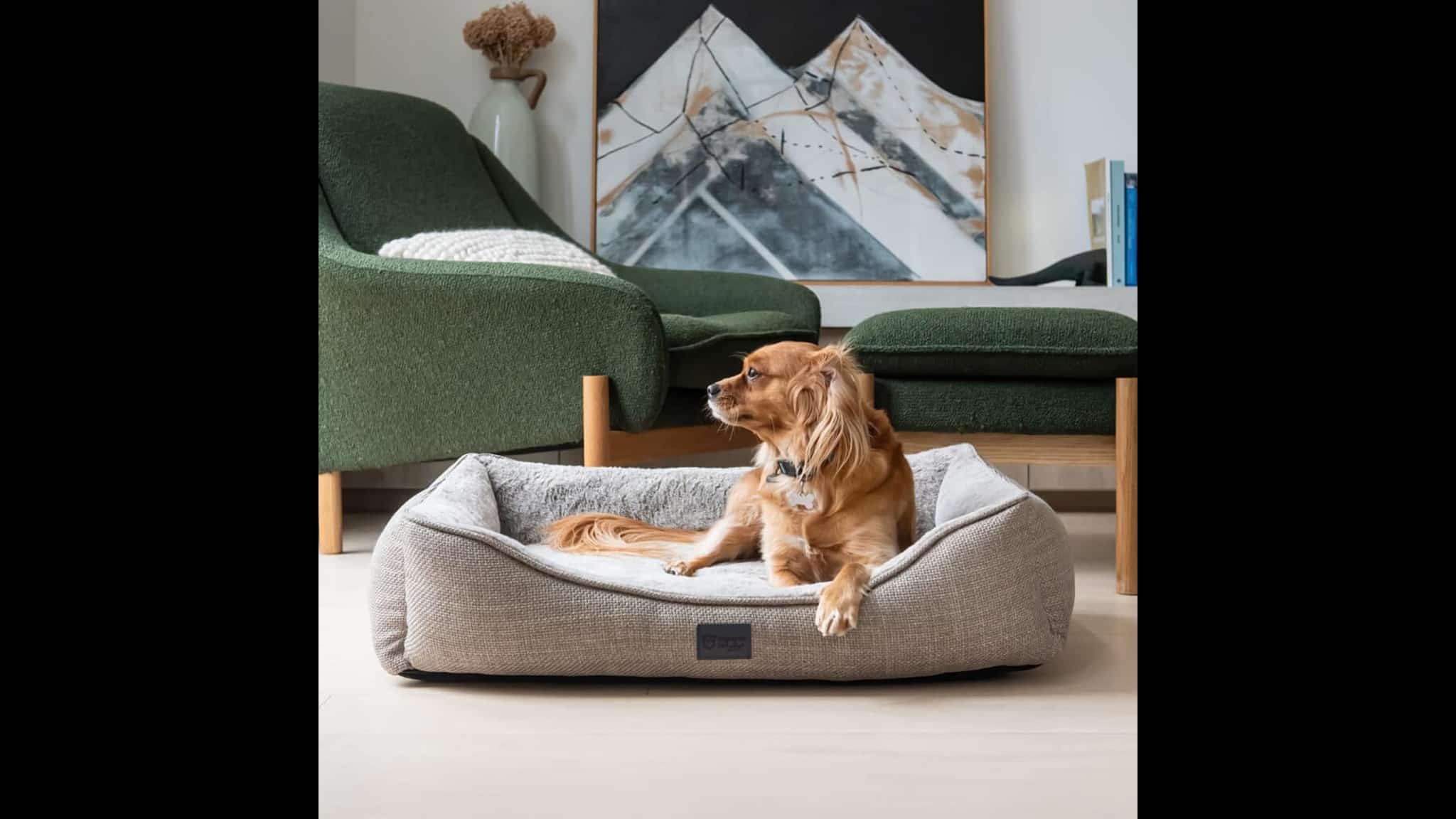 Dog Beds
