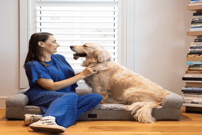 Dog Beds
