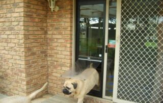 Choosing the Best Pet Door for Your Sliding Glass Door: Top Dog Door Solutions for Aussie Homes 21 Sliding Glass Door