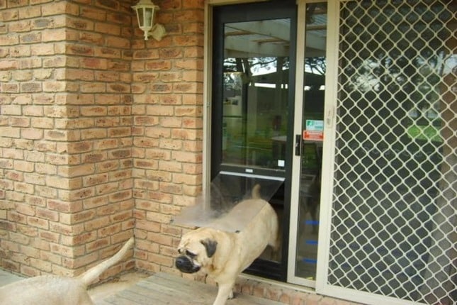 Sliding Glass Door