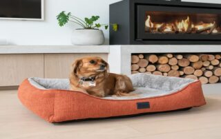 Pet Comfort: Exploring the Benefits of High-Quality Dog Beds for Your Dog’s Health 22 Superior Ortho beds