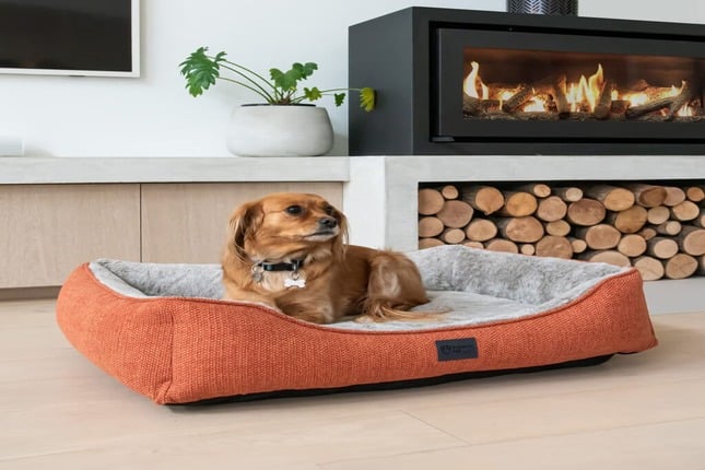 Superior Ortho beds