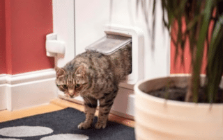 Ultimate Guide to Cat Door Installation in Melbourne: Transform Your Home with Sliding Glass Cat Doors 19 Cat Doors