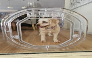 Benefits of Installing a Doggy Door – How It Can Improve Your Pet’s Independence 17 Installing Doggy Door