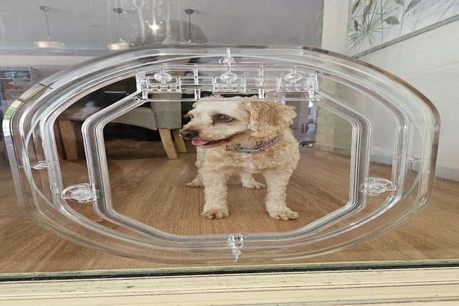 Installing Doggy Door