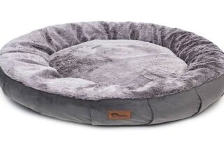 The Best Luxury Dog Beds in Australia: A Guide to Comfort and Style 16 dog beds