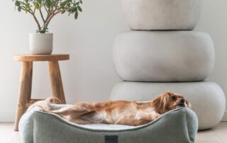 Top 10 Dog Beds in Australia for Every Breed and Size 14 Dog Beds
