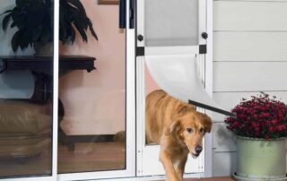 Ultimate Aussie Guide to Doggy Door Installation: From Timber to Glass 16 Sliding Glass Dog Doors in Australia