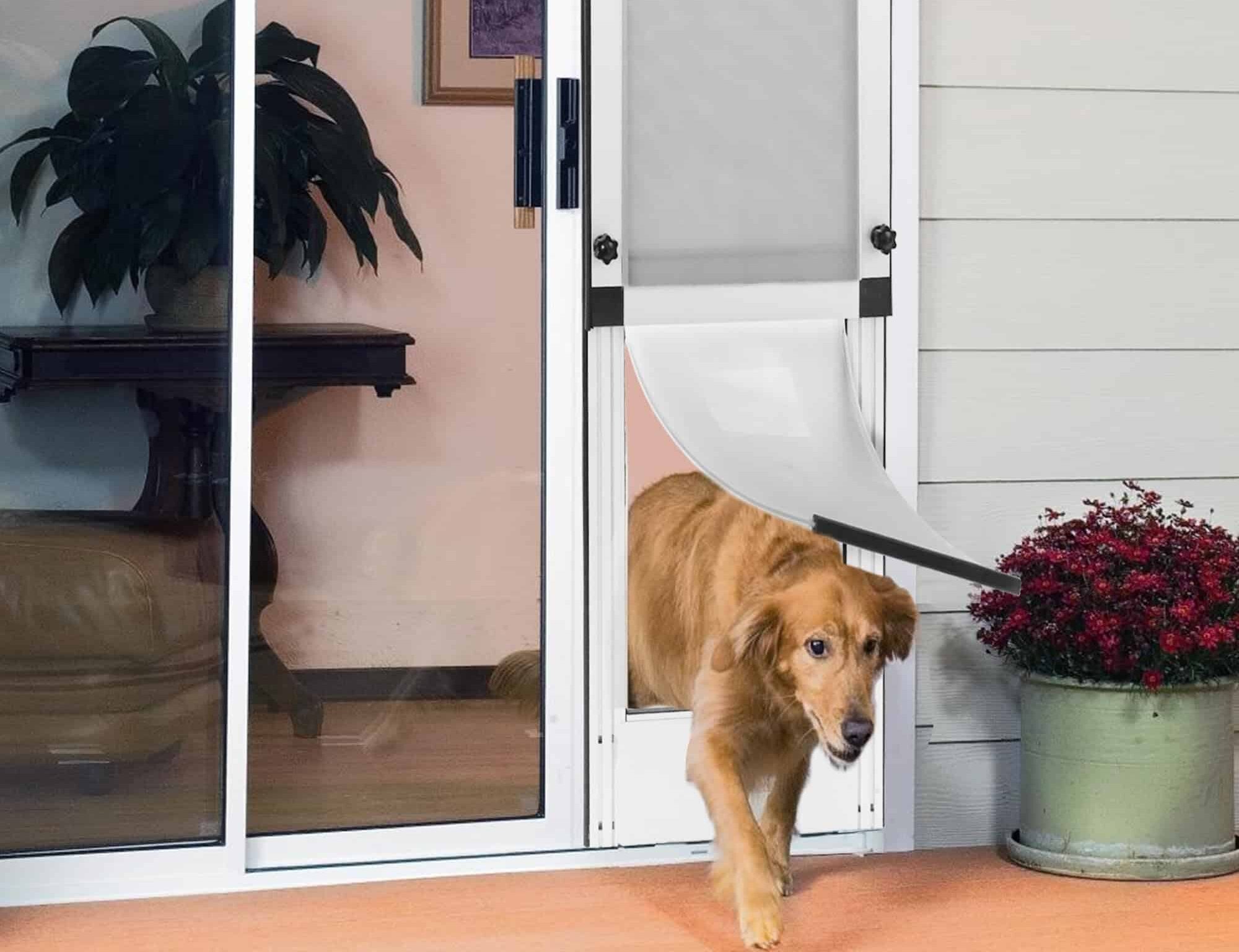 Sliding Glass Dog Doors in Australia
