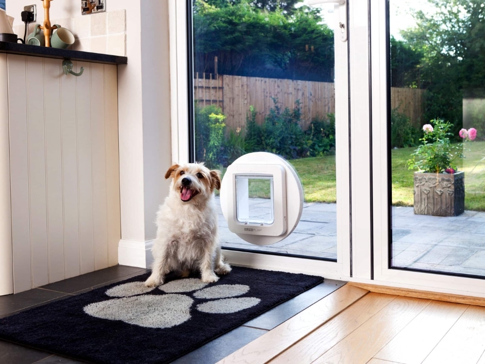 pet door installers
