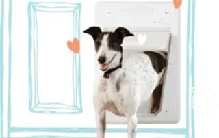 Are Dog Doors Safe? Security & Safety Tips for Homeowners 19 dog door installation