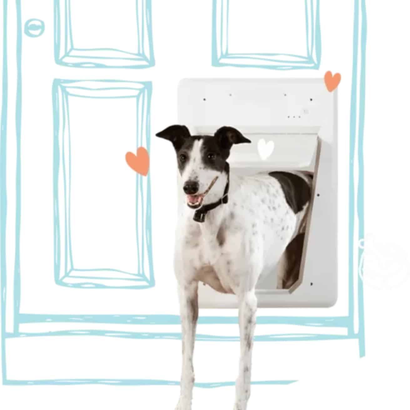 dog door installation