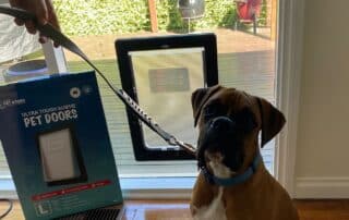 Dog Door Installation in Melbourne: Costs, Process & FAQs 20 doggy door installation