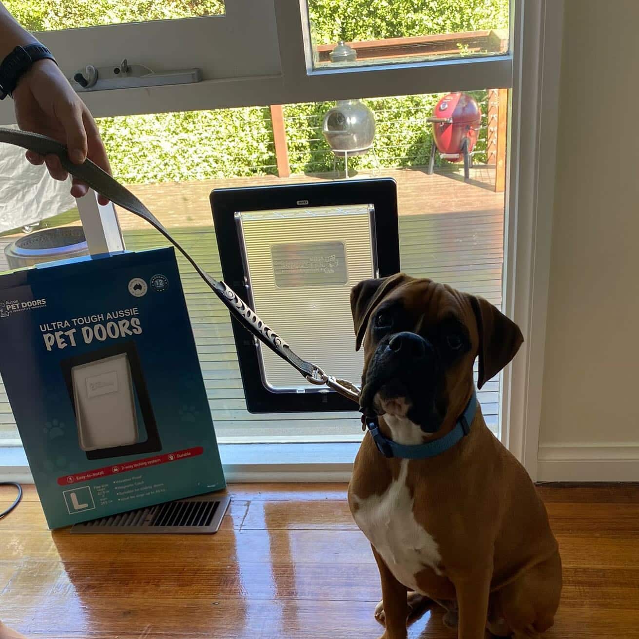 doggy door installation