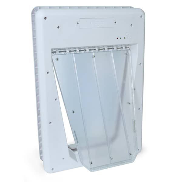 Electronic SmartDoor