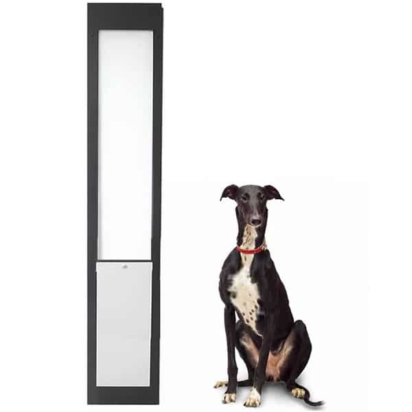 Greyhound Pet Door Insert for a Sliding Door 30 Greyhound