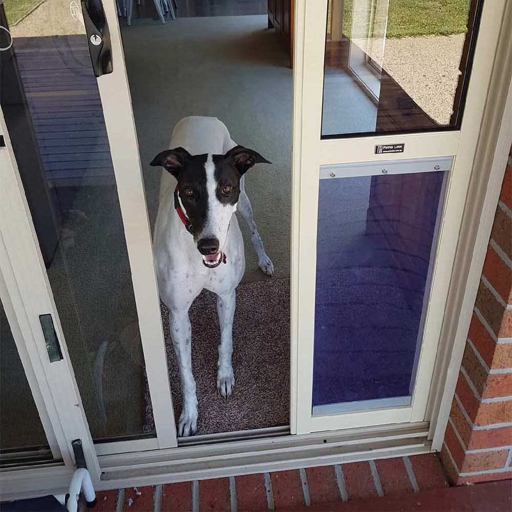 pet door sliding door
