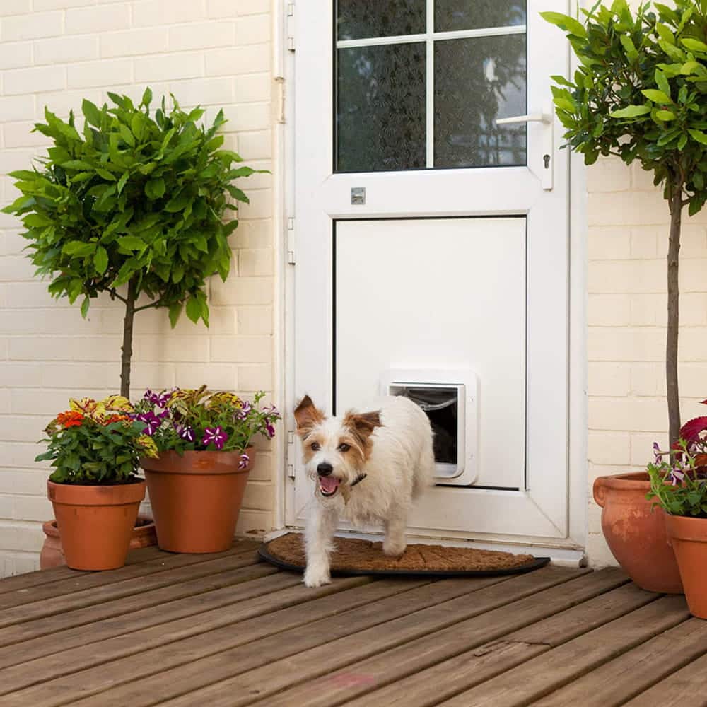 Installation Specialists Melbourne 25 Microchip Pet Door