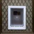 Pet-Door-Security-Screens Pet Door Security Screens opt