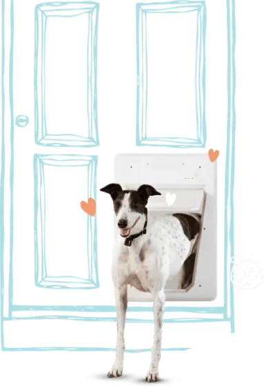 banner-dog-door-updated banner dog door updated