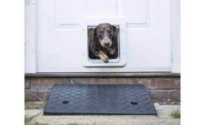 Image showcasing Microchip & Microchip Dog Door: Security & Convenience