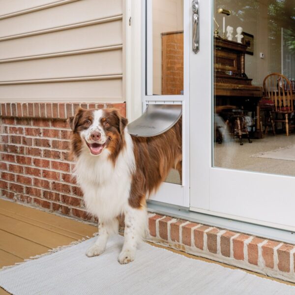 View of Microchip Pet Doors - High-Tech Security